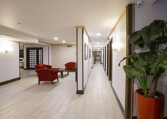 ベネザ 3* アヴェイロ